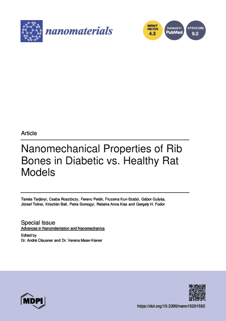 Nanomechanical Properties of Rib Bones in Diabetic vs. Healthy Rat Models