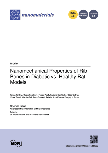 Nanomechanical Properties of Rib Bones in Diabetic vs. Healthy Rat Models